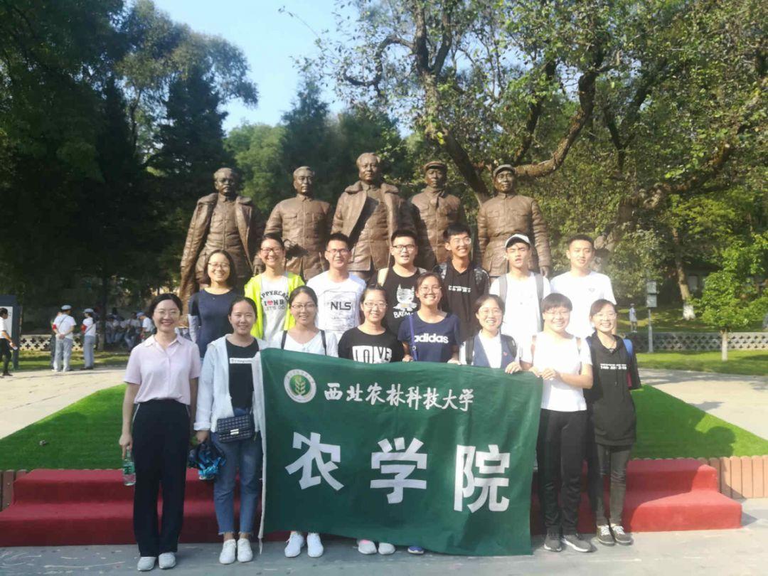 哪位大师能帮我算算，今年26虚岁了。游戏画面