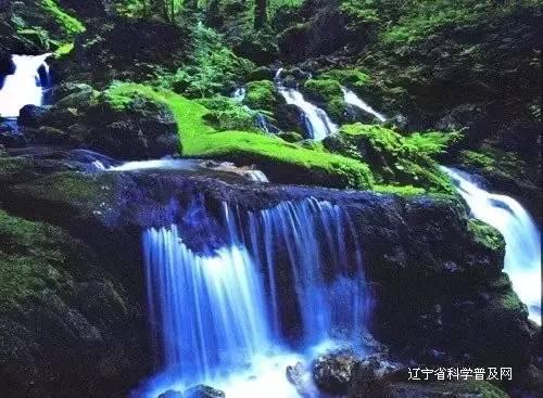 赶紧告诉“她”，汝州市“两癌”免费筛查开始了