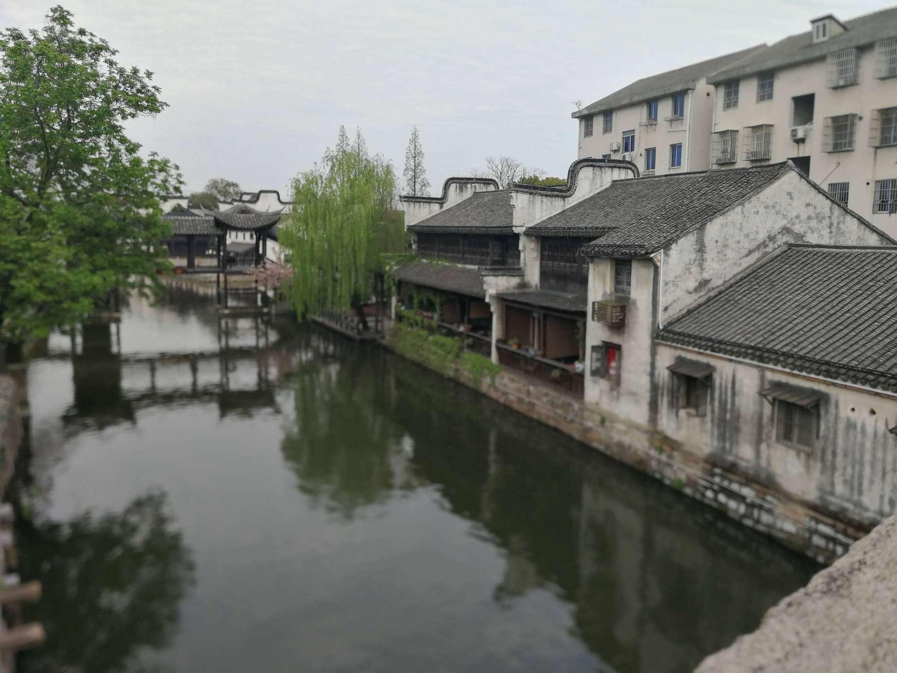 阴暗森林