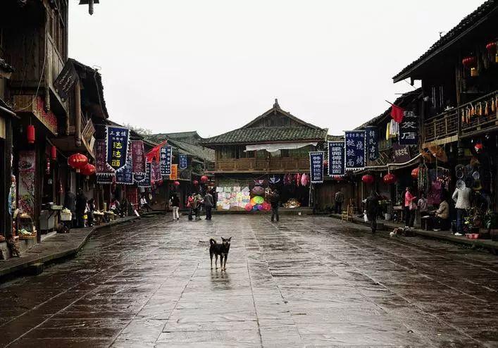 勿忘我