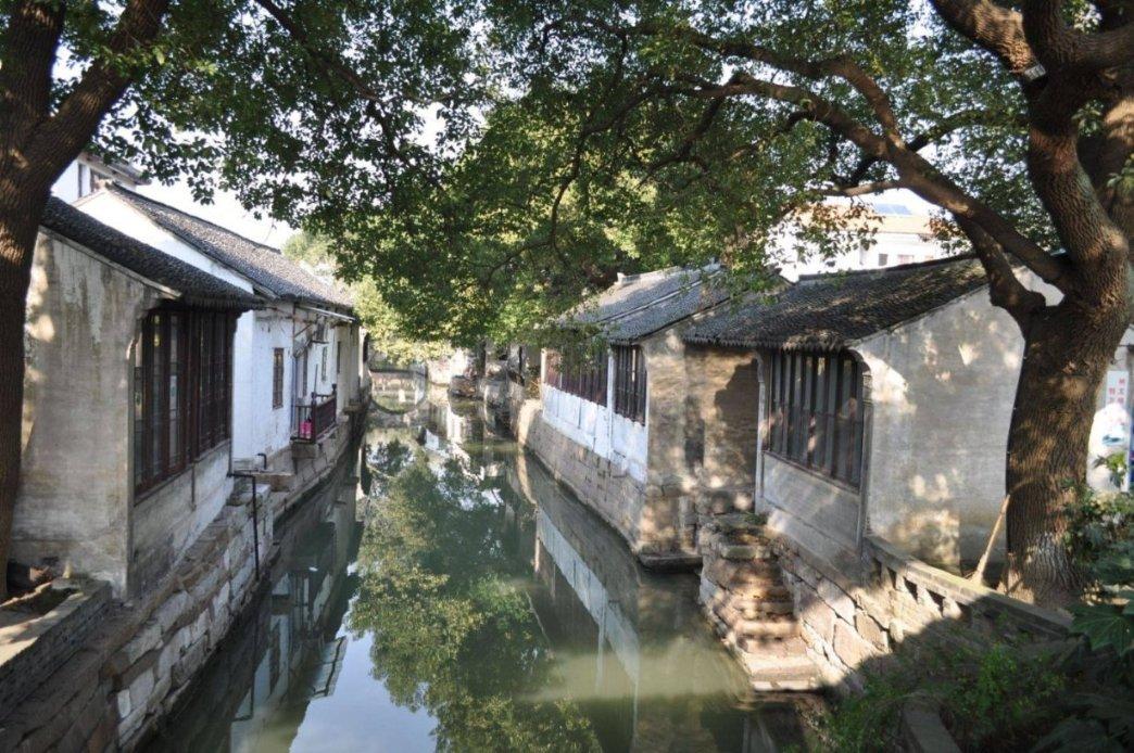 首个草鱼肠道微生物基因目录建成